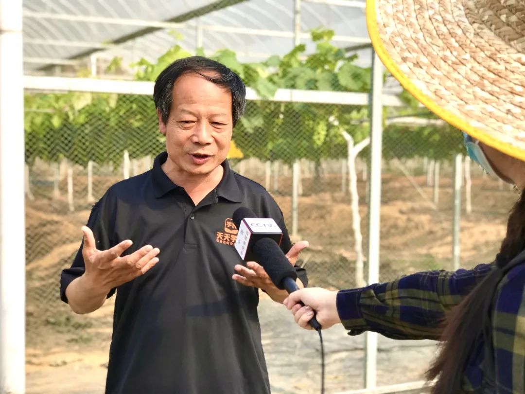 天天學(xué)農(nóng)現(xiàn)身央視2套，用線上課程幫農(nóng)民復(fù)工復(fù)產(chǎn)！