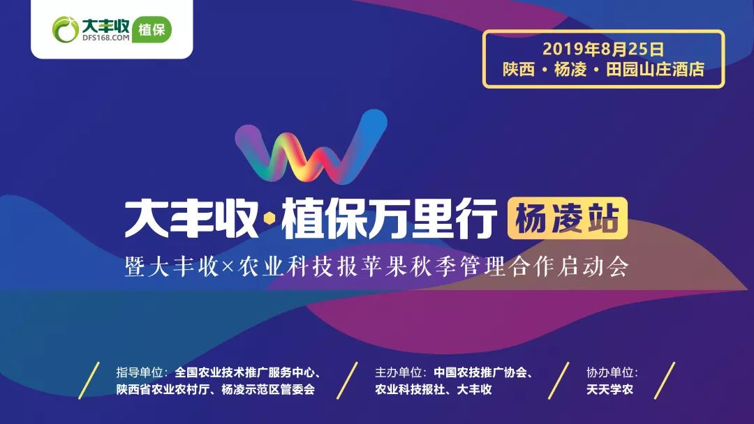 賦能陜西蘋果產(chǎn)業(yè)，實(shí)現(xiàn)品質(zhì)效益雙提升：大豐收植保萬里行集眾智謀發(fā)展！