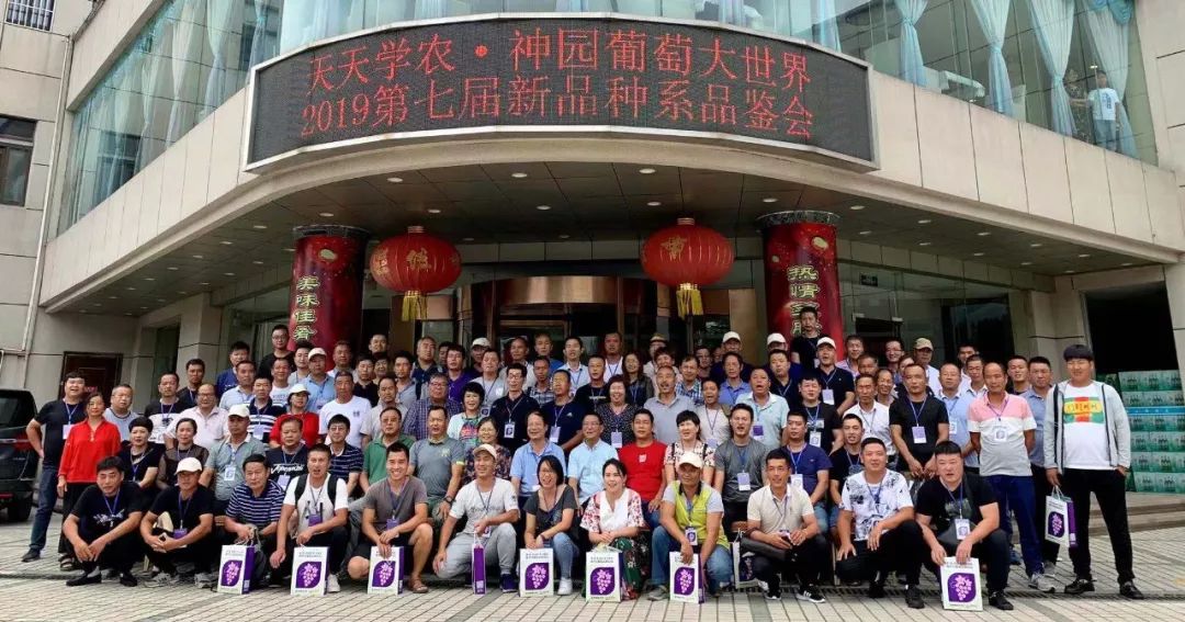 葡萄新品種（系）品鑒會圓滿結(jié)束，每個(gè)品種市場潛力都不可估量?。ǜ咔鍒D）