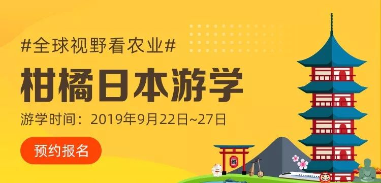 重磅！為你揭開(kāi)這個(gè)150畝柑橘園年產(chǎn)值1.6億的秘密！