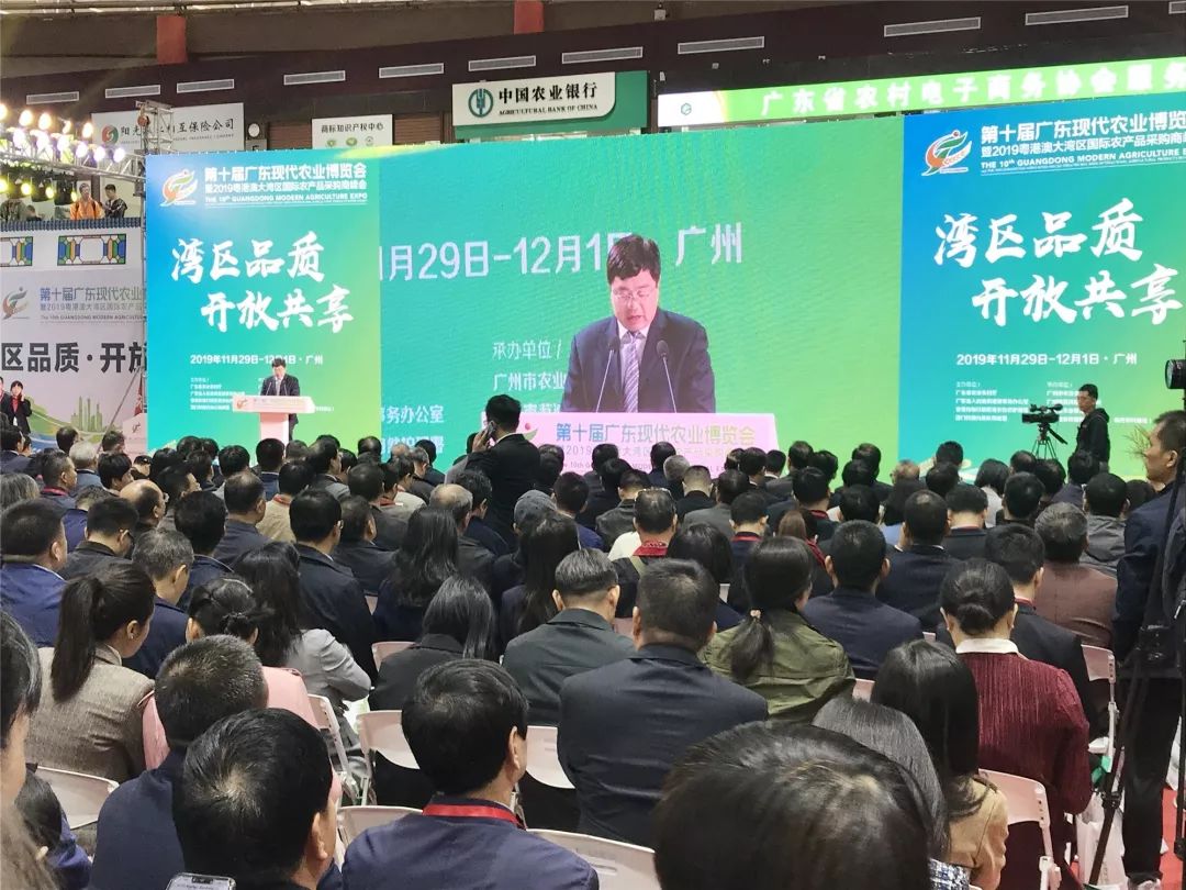豐農(nóng)控股亮相農(nóng)博會，省委常委葉貞琴蒞臨展位參觀指導(dǎo)