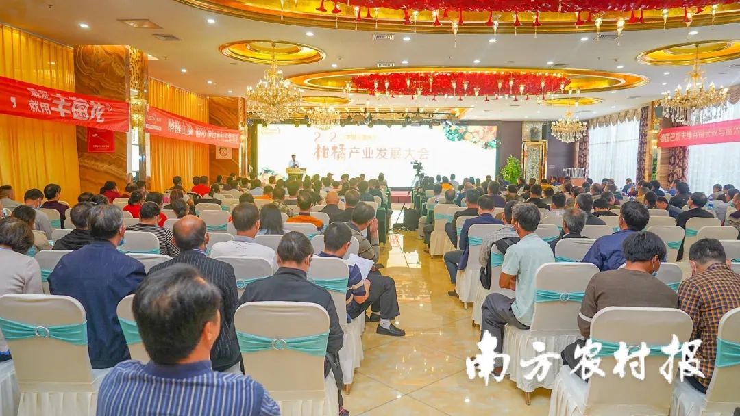 豐農(nóng)控股出席2020中國（賀州）柑橘產(chǎn)業(yè)發(fā)展大會