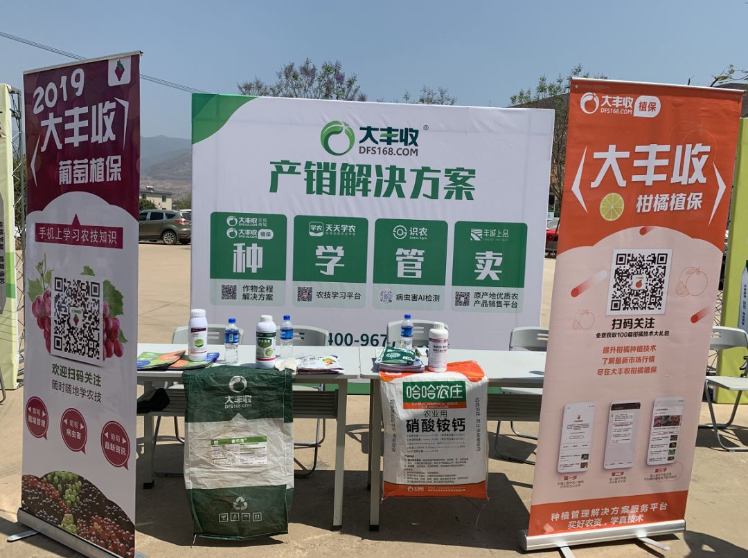 大豐收亮相賓川葡萄產(chǎn)業(yè)發(fā)展大會，農(nóng)技服務(wù)獲熱捧！