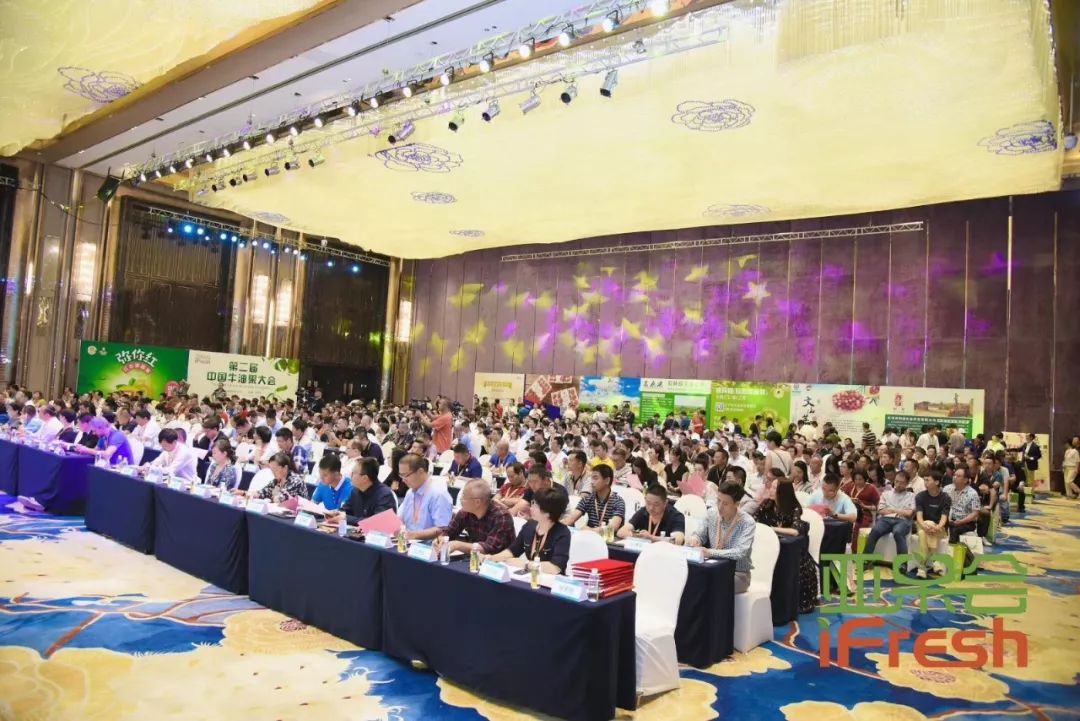豐誠(chéng)上品直供模式閃耀2019亞洲優(yōu)質(zhì)水果產(chǎn)業(yè)鏈（云南）峰會(huì)