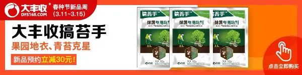 大豐收聯(lián)合主辦系列作物解決方案會(huì)議之雜柑論壇，推動(dòng)四川柑橘發(fā)展！