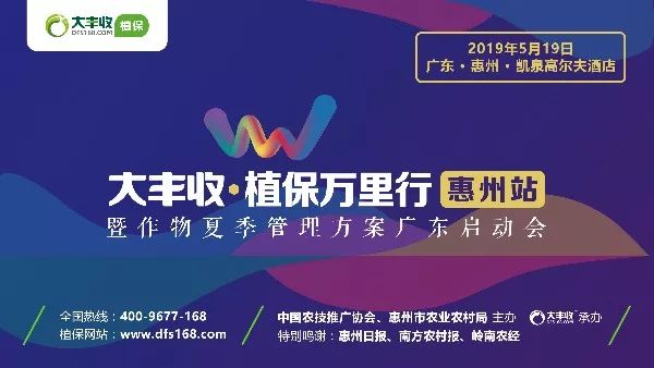 @廣東種植戶，花1天時間做這件事，品質(zhì)和產(chǎn)量都不用愁了！