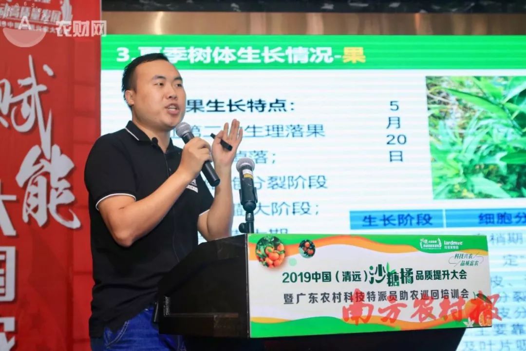 大豐收助力2019中國(guó)(清遠(yuǎn))沙糖橘品質(zhì)提升大會(huì)，圓果農(nóng)致富夢(mèng)！
