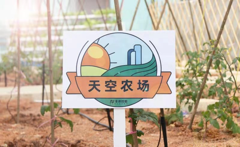 3·12植樹(shù)節(jié)，豐農(nóng)控股“天空農(nóng)場(chǎng)”正式開(kāi)放啦！