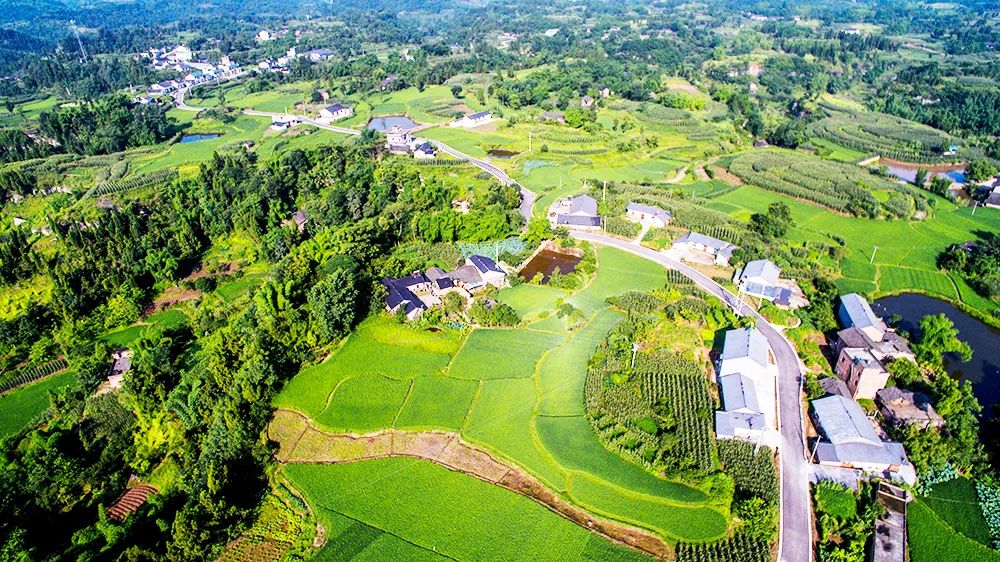 同享機(jī)遇 攜手共贏 | 豐農(nóng)控股董事長閆子銅帶隊(duì)到重慶走訪