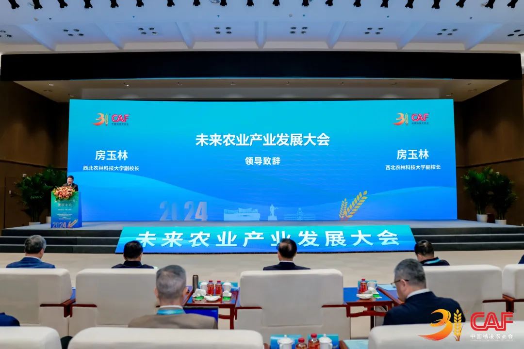 2024未來農(nóng)業(yè)產(chǎn)業(yè)發(fā)展大會召開，豐農(nóng)控股“產(chǎn)業(yè)+數(shù)字+金融+人才”創(chuàng)新生態(tài)模式引關(guān)注
