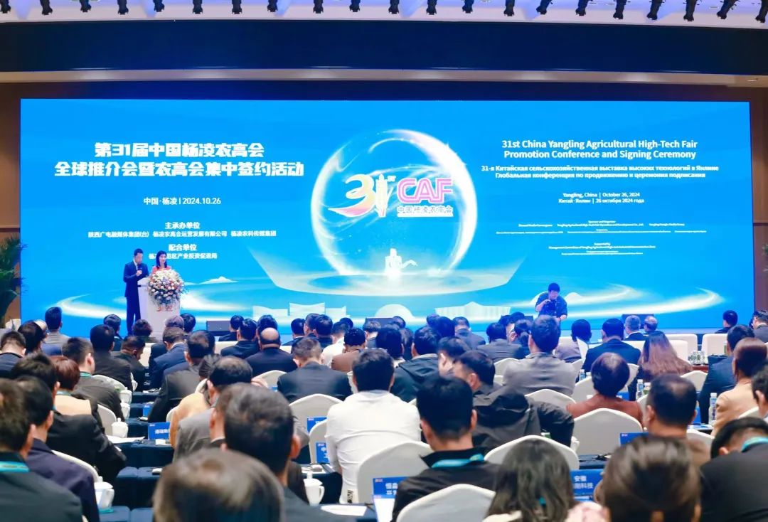 ?豐農(nóng)控股在第31屆楊凌農(nóng)高會作全球推介，簽約線上農(nóng)高會、上合組織農(nóng)技網(wǎng)絡(luò)培訓(xùn)學(xué)院項目