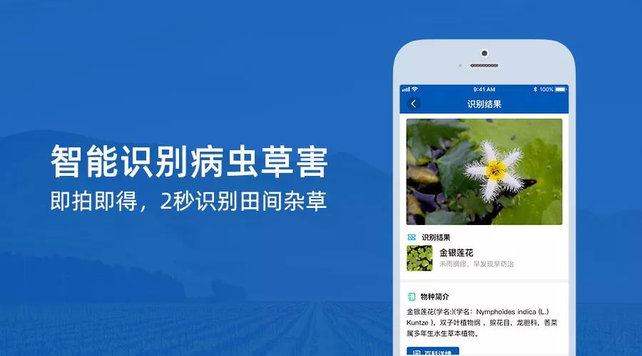識(shí)農(nóng)開放識(shí)別接口，阿里已開始應(yīng)用雜草識(shí)別功能，助力智慧農(nóng)業(yè)發(fā)展