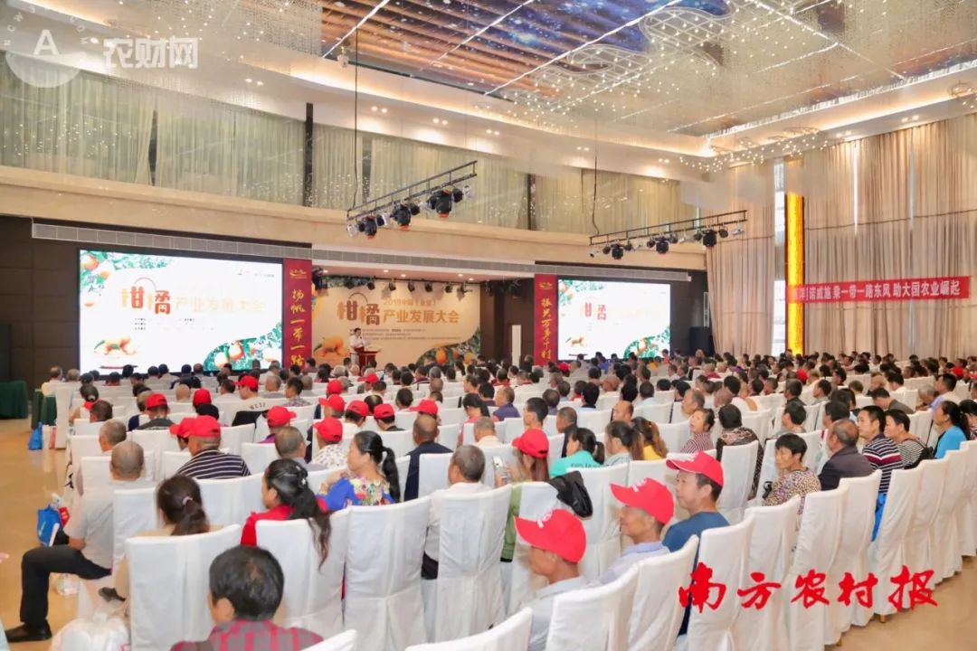 大豐收柑橘產(chǎn)銷(xiāo)解決方案服務(wù)四川種植戶(hù)，讓高效種植更容易！