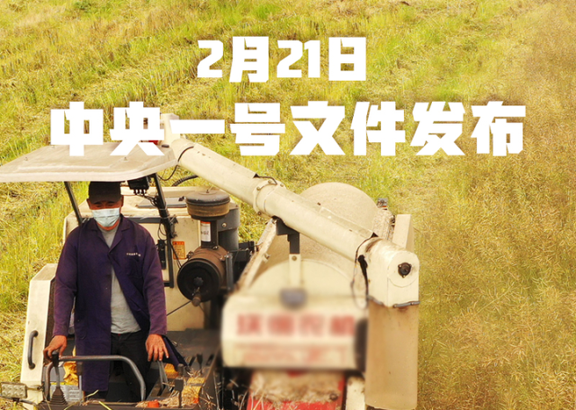 剛剛！2021年中央一號(hào)文件發(fā)布