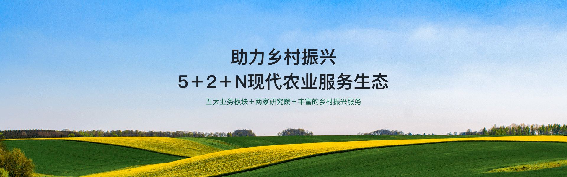 我們的業(yè)務(wù)