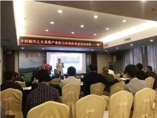 1579081329394949.png 火龍果2.png
