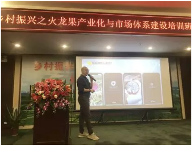 1579081359850889.png 火龍果4.png