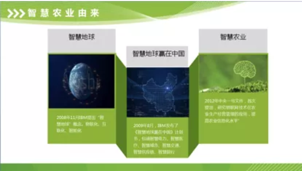 1579081384793144.png 火龍果6.png