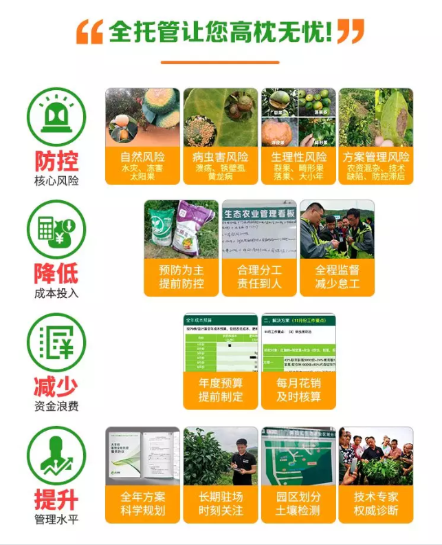 1579081927850690.png 植保會6.png