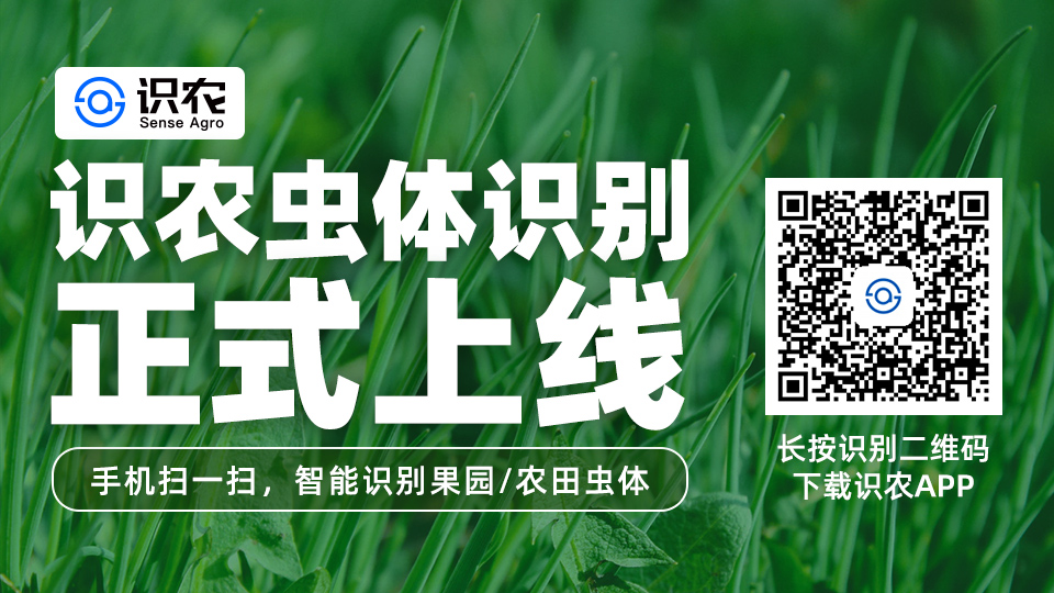 微信圖片_20200617114322.jpg